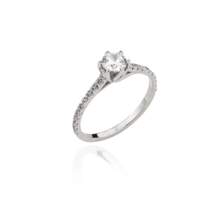 Įtvirtinta elegancija 3